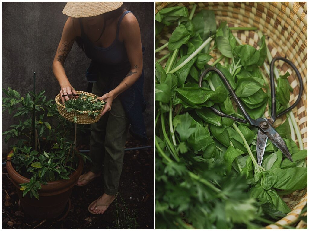 Branding photoshoot for wellness business. Photography by Emily Barnes, owner of Emily B Creative.